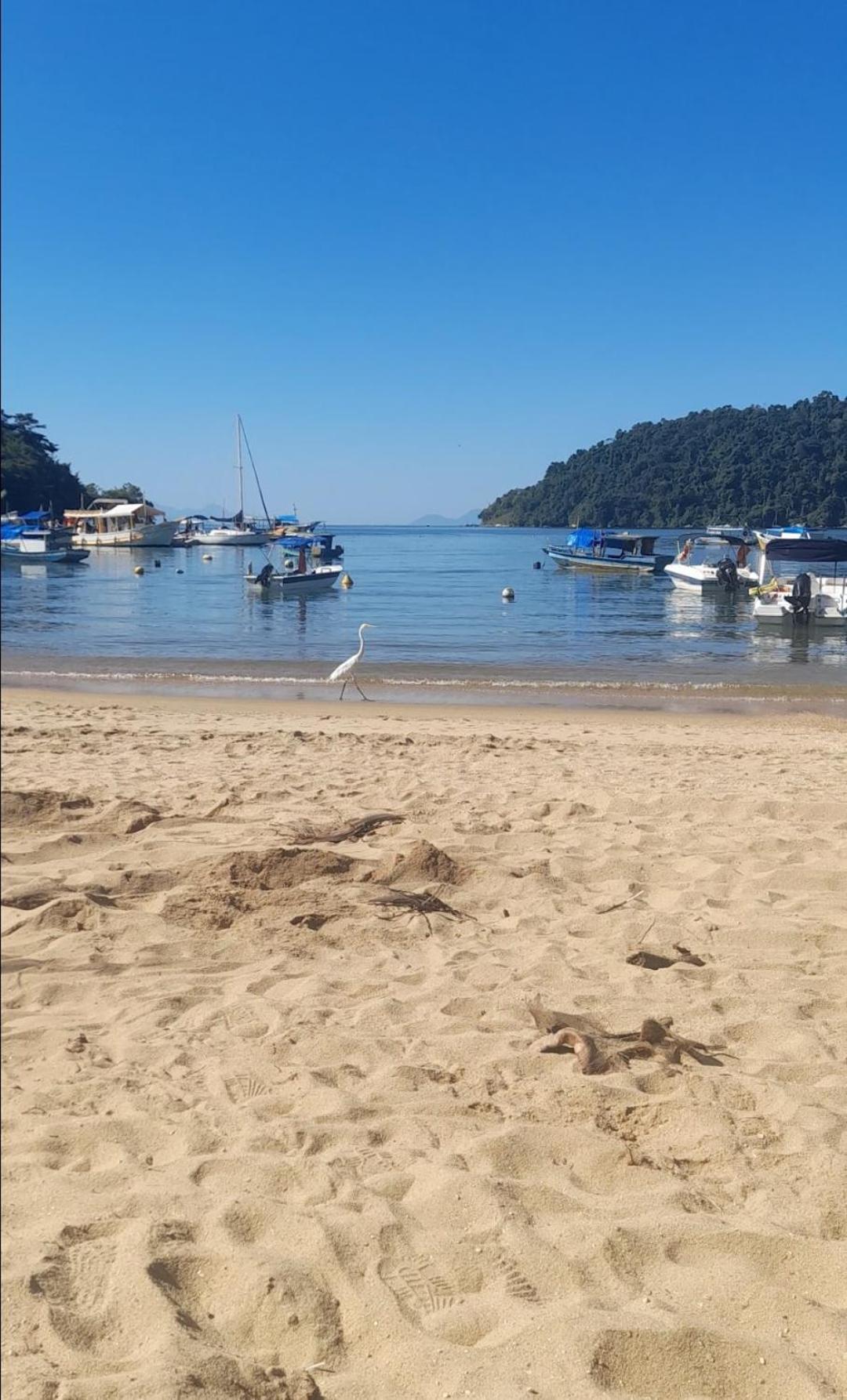 Paraty House 外观 照片